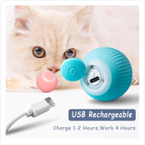 JUGUETE INTERACTIVO BOLA PARA GATO